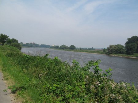 Die Elbe bei Pirna